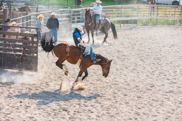 istock Cowboy Riding a Bucking Bronco at a Rodeo 853732356
