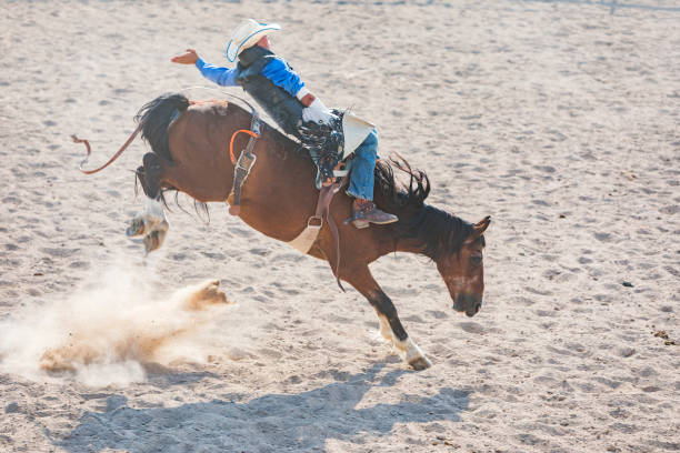 istock Cowboy Riding a Bucking Bronco at a Rodeo 853732366