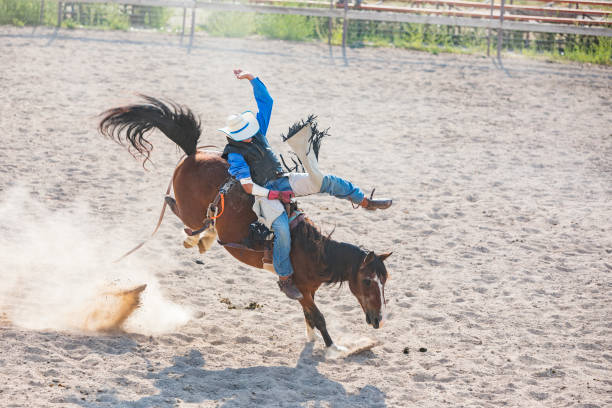 istock Cowboy Riding a Bucking Bronco at a Rodeo 853732372