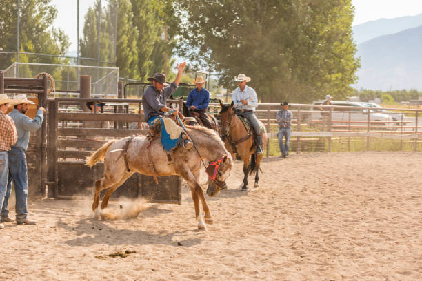istock Cowboy Riding a Bucking Bronco at a Rodeo 853732394