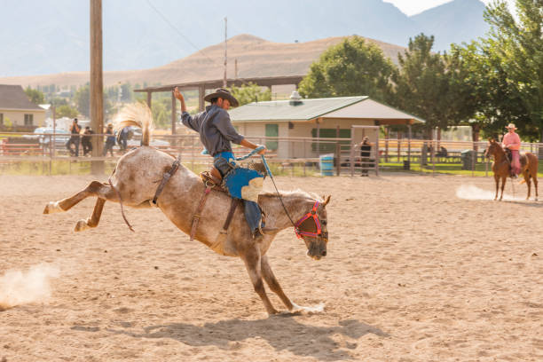 reiten ein bucking bronco bei einem rodeo cowboy - rodeo cowboy motion horse stock-fotos und bilder