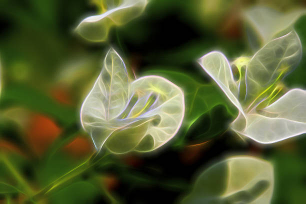 Fresh flowers. stock photo