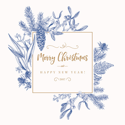 Christmas holiday frame with pine branches, mistletoe, fern. Engraved card. Vector design elements isolated on white background. Blue.