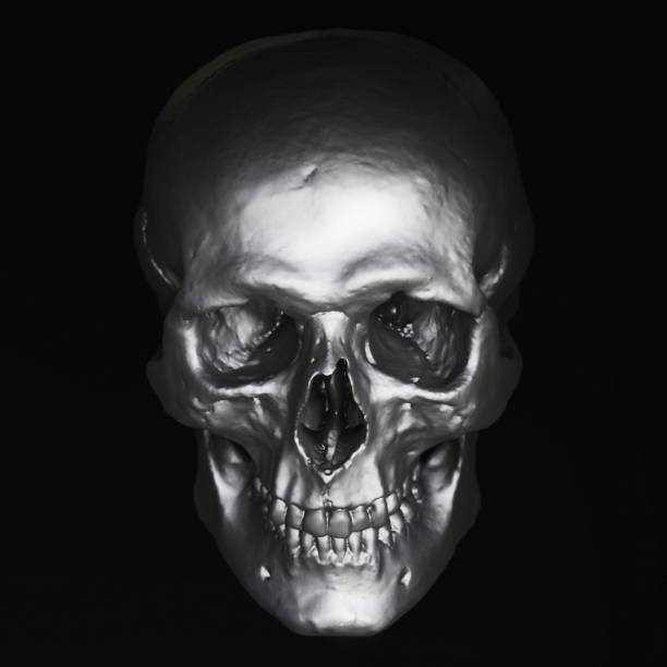istock Slightly Downturned Front Perspective of a Dark Steel Skull on a Black Background 853748490
