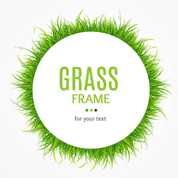 Vector illustration of Green Grass Frame. Vector