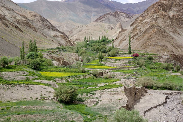 istock Landscape in Ladakh, India 853749414