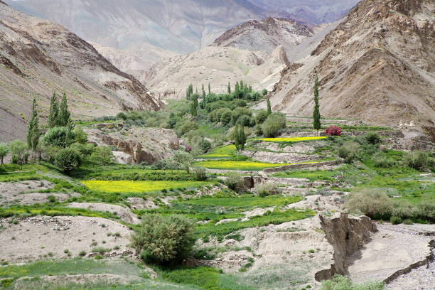 istock Landscape in Ladakh, India 853749860