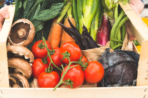 istock Closeup of a Crate of Assorted Fresh Vegetables 853756872