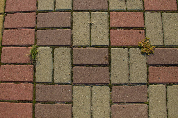 istock Sidewalk textured background. Detail of a pavement 853771066