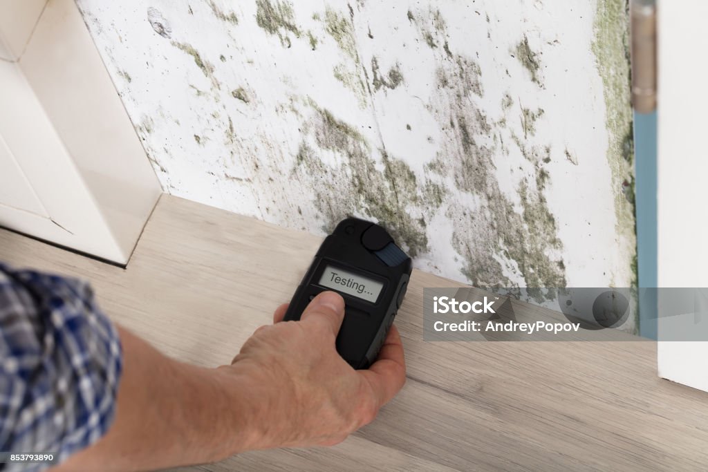 Person Hand Testing The Moldy Wall Person Hand Measuring The Wetness Off A Moldy Wall Bacterium Stock Photo