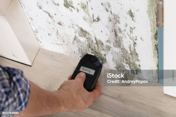 Person Hand Testing The Moldy Wall Stock Photo - Download Image Now - Bacterium, Concrete, Damaged