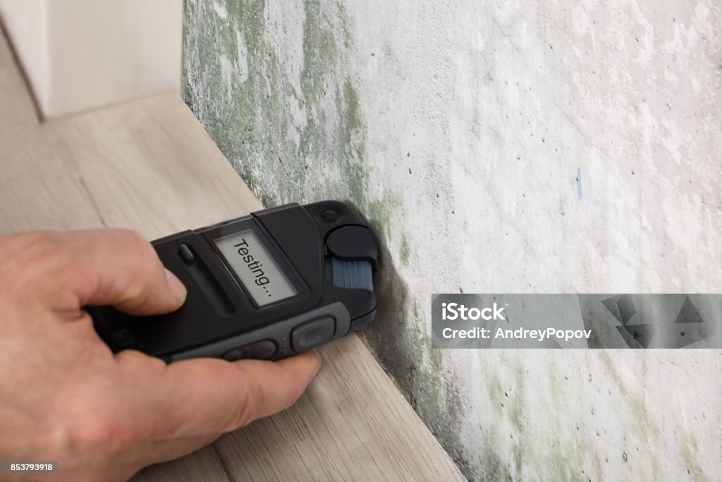 Person Hand Testing The Moldy Wall Person Hand Measuring The Wetness Off A Moldy Wall Fungal Mold Stock Photo