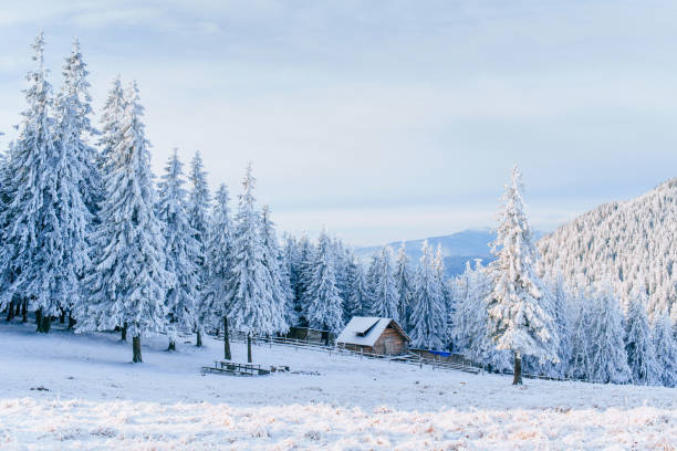 cabina in montagna in inverno. nebbia misteriosa. in previsione delle vacanze. carpazi. ucraina, europa - hut winter snow mountain foto e immagini stock