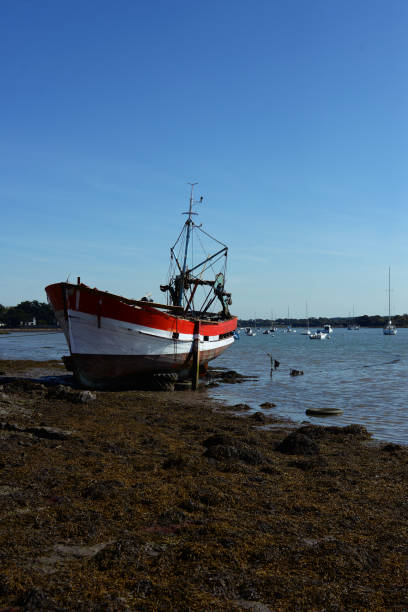istock Montsarrac Senna fishing boat 853805482