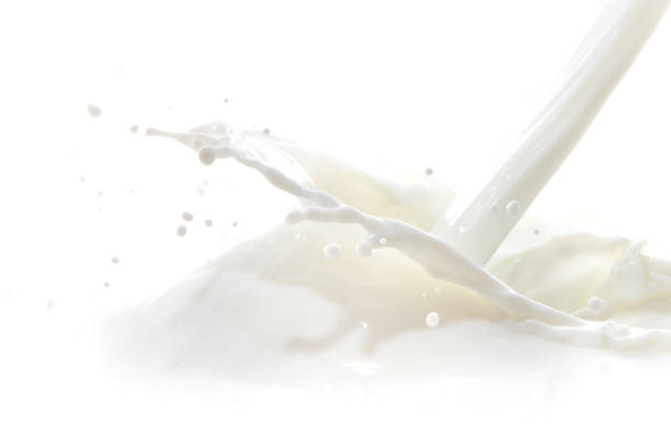 milk splash pouring milk splash isolated on white background yogurt photos stock pictures, royalty-free photos & images