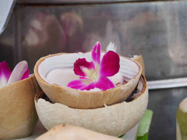 istock close up lovely pink orchid. 853812338