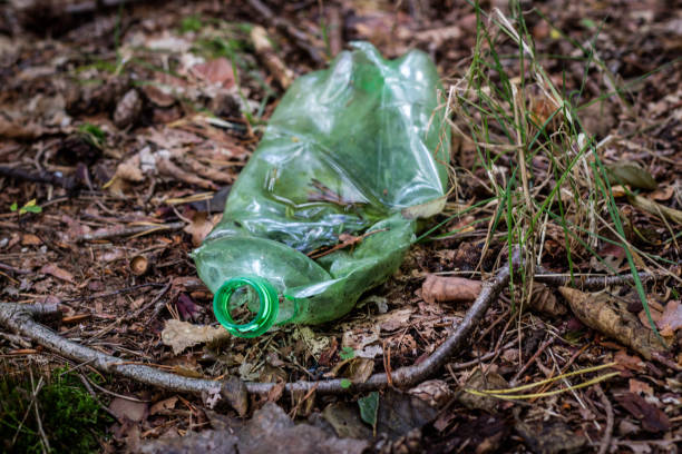 istock Plastic trash in the forest. Tucked nature. Plastic container lying in the grass. 853813012
