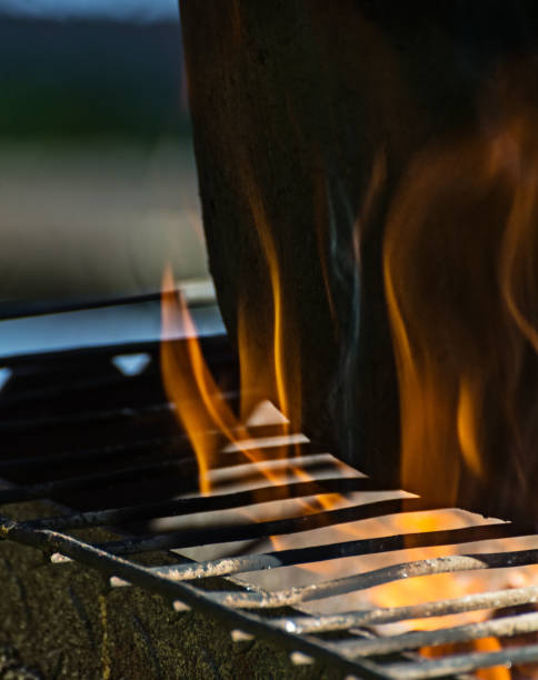 istock Cooking in the nature. Cauldron on fire in forest 853813154