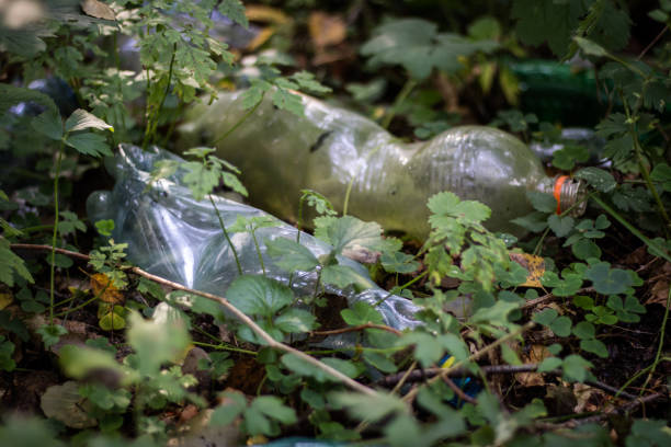 istock Plastic trash in the forest. Tucked nature. Plastic container lying in the grass. 853813470