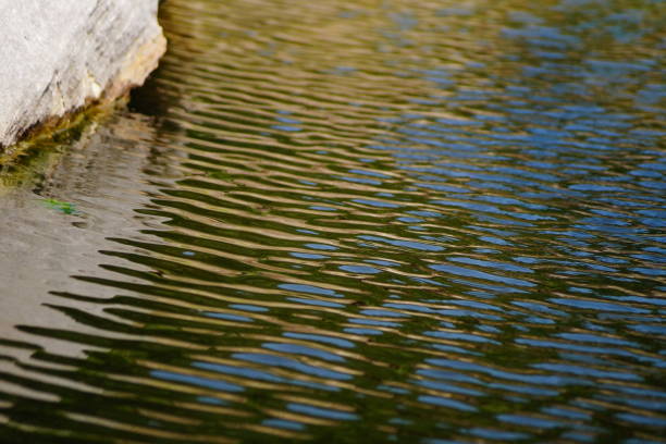 istock Beautiful lake, river, pond water images 853813592
