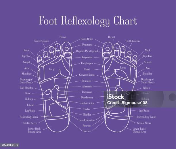 Cartoon Reflexology Feet Alternative Medicine Thin Line Vector Stock Illustration - Download Image Now