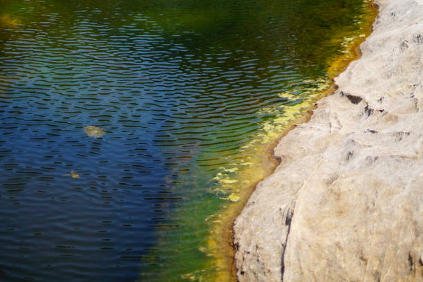 istock Beautiful lake, river, pond water images 853817210