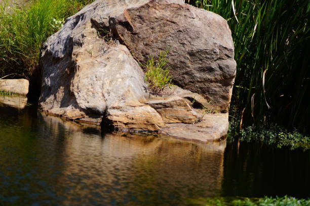 istock Beautiful lake, river, pond water images 853823536