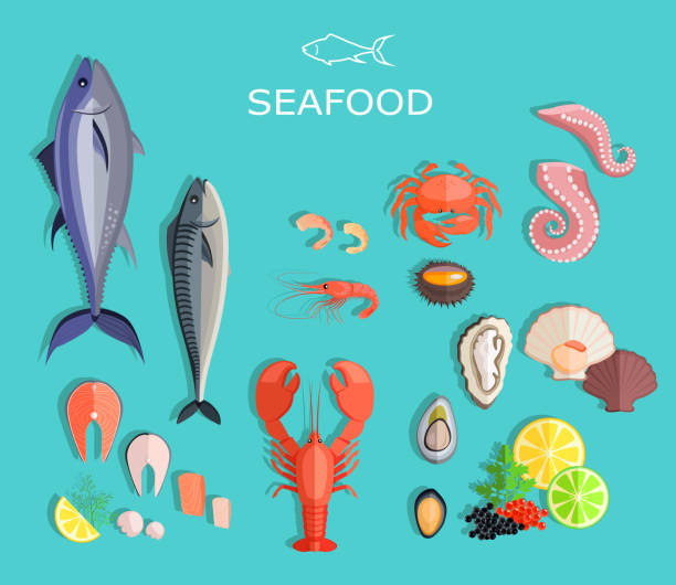 해산물 세트 디자인 플랫 물고기와 게 - lobster seafood prepared shellfish crustacean stock illustrations