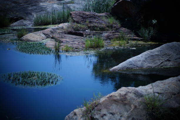 istock Beautiful lake, river, pond water images 853831910