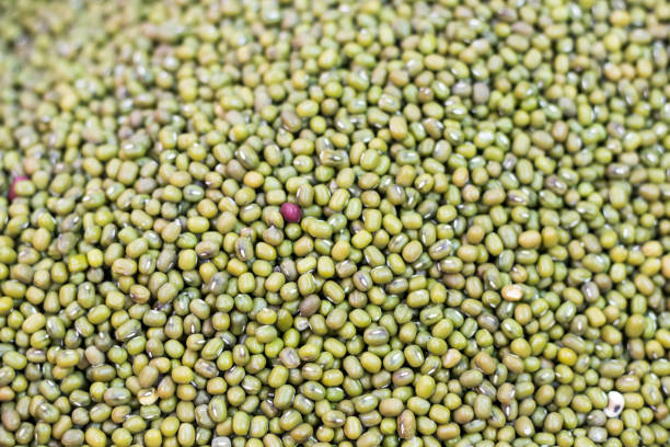 I semi di fagioli mung. - foto stock