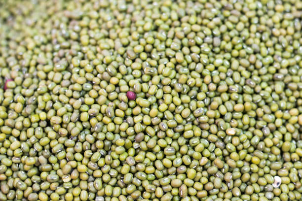 The seeds mung beans. - fotografia de stock