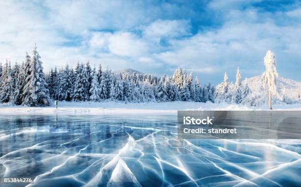 Foto de Gelo Azul E Rachaduras Na Superfície Do Gelo Lago Congelado Sob Um Céu Azul No Inverno As Montanhas De Pinheiros Inverno Cárpatos Ucrânia Europa e mais fotos de stock de Inverno