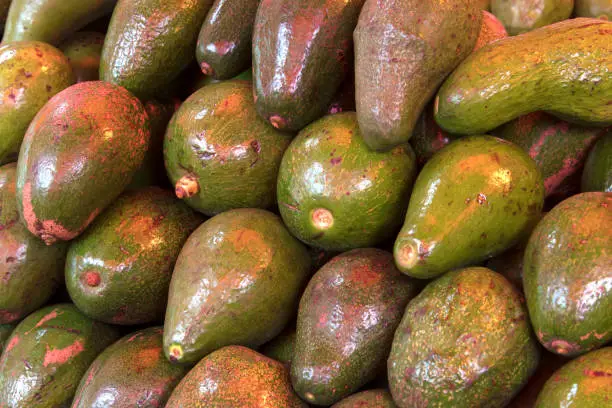 Pile of Green Avocado Background