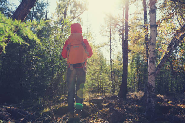 istock hiking woman with backpack in the sunrise forest 853855366