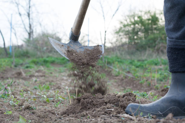 istock Garden hoe weeding a garden area and dirt path 853863374