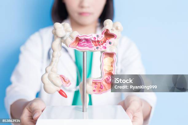 Beauty Woman Doctor Stock Photo - Download Image Now - Intestine, Digestive System, Medicine