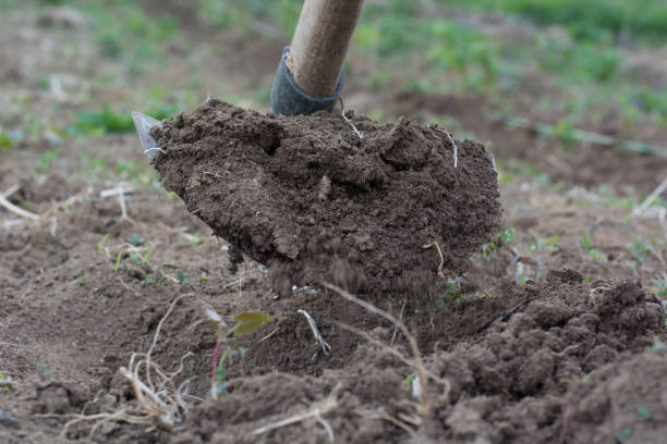 istock Garden hoe weeding a garden area and dirt path 853864120