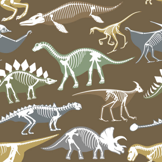 dinosaurier-skelette-silhouetten knochen tyrannosaurus prähistorische tiere dino knochen vektor flache abbildung nahtlose muster - dinosaur fossil tyrannosaurus rex animal skeleton stock-grafiken, -clipart, -cartoons und -symbole