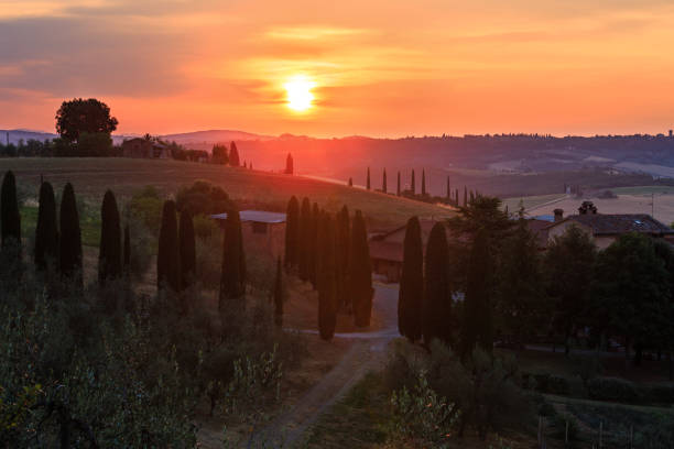 istock Tuscany sunrise countryside, Italy 853868898