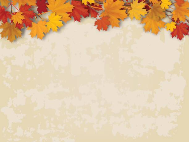 Maple tree branch on old wall background Maple tree branch with autumn red and yellow leaves on old wall background. Vector realistic seasonal  background. autumn backgrounds stock illustrations