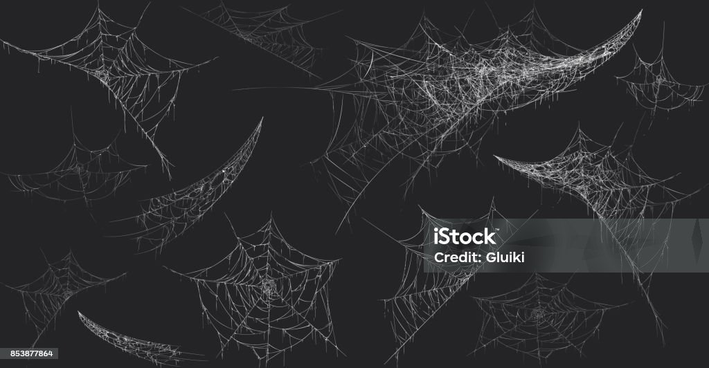 Décor d’Halloween, toile d’araignée de spider, illustration vectorielle dessinés à la main. - clipart vectoriel de Toile d'araignée libre de droits