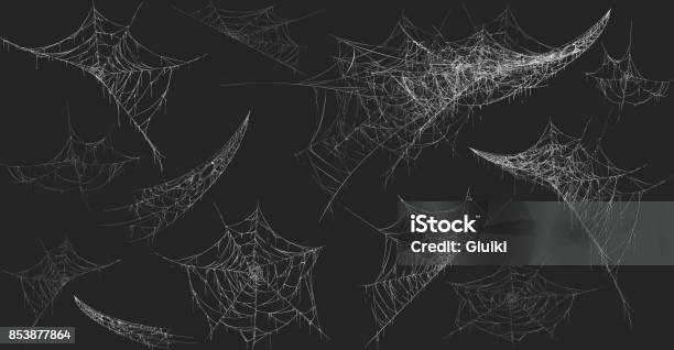 Halloween Decor Spider Cobweb Hand Drawn Vector Illustration Stock Illustration - Download Image Now