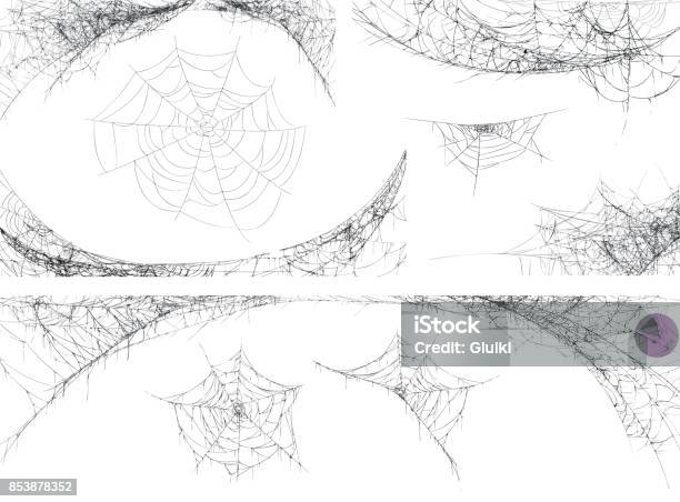 Halloween Decor Spider Cobweb Hand Drawn Vector Illustration Stock Illustration - Download Image Now