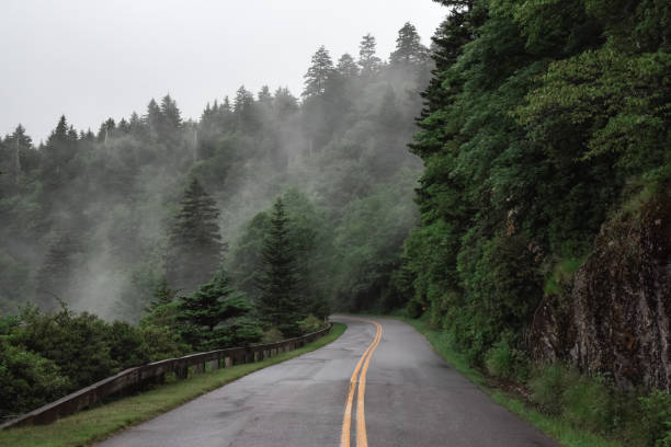 istock Blue Ridge Parkway with Fog 853878886