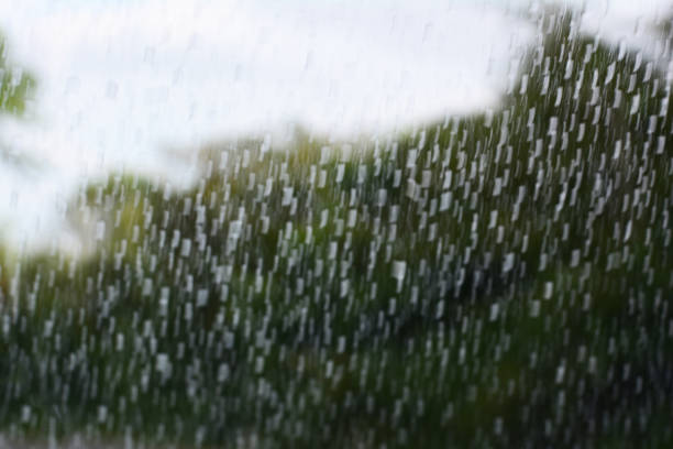 istock the blurred background of raining and the trees along the way 853879592