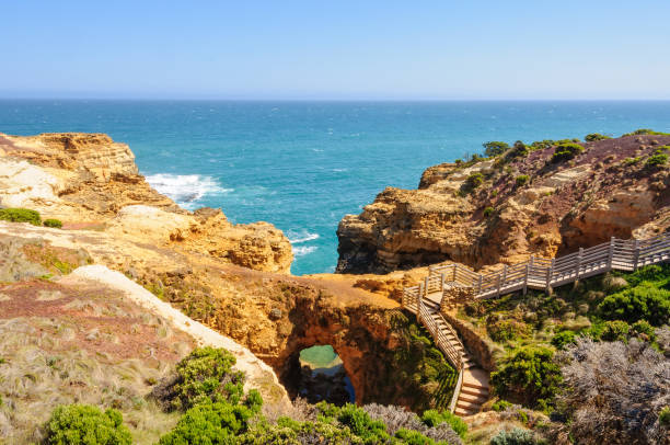 istock Steps to the Grotto - Port Campbell 853904384