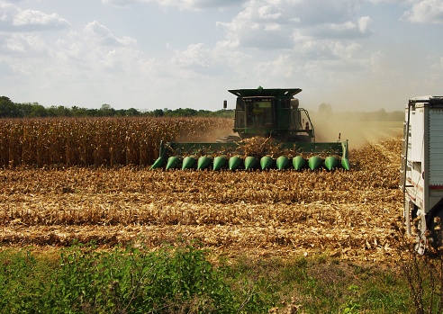 Shiloh, IL--September 24, 2017, Farmer drives a combine in Midwest grain field to harvest mature corn.  Photo by Phil Rozenski, Shiloh, IL