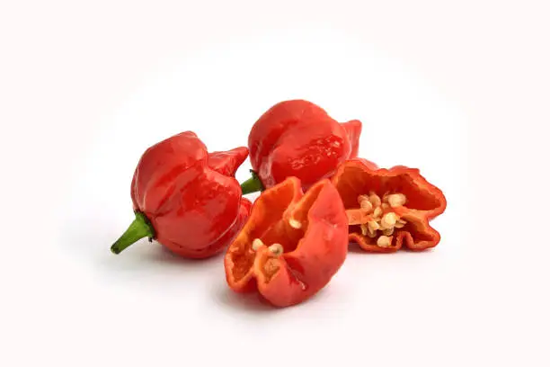 Photo of hottest pepper in the world