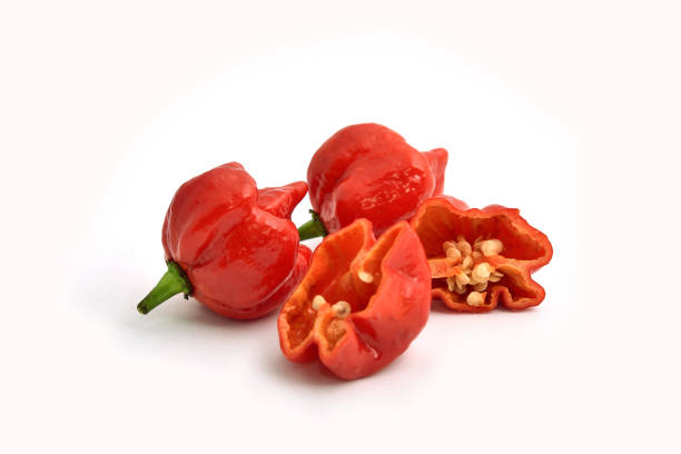 pimenta mais quente do mundo - vegies green chili pepper pepper - fotografias e filmes do acervo