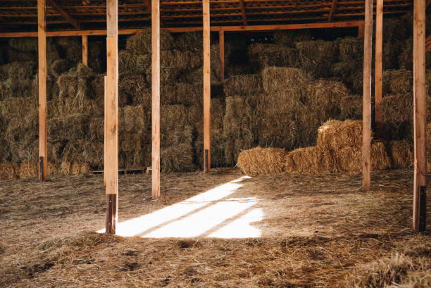 stacked hay in agricultural stall at farmhouse stacked hay in agricultural stall at farmhouse horse barn stock pictures, royalty-free photos & images